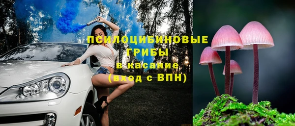 амф Алексеевка