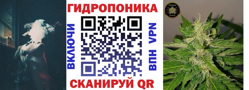 Бошки Шишки гибрид Абдулино